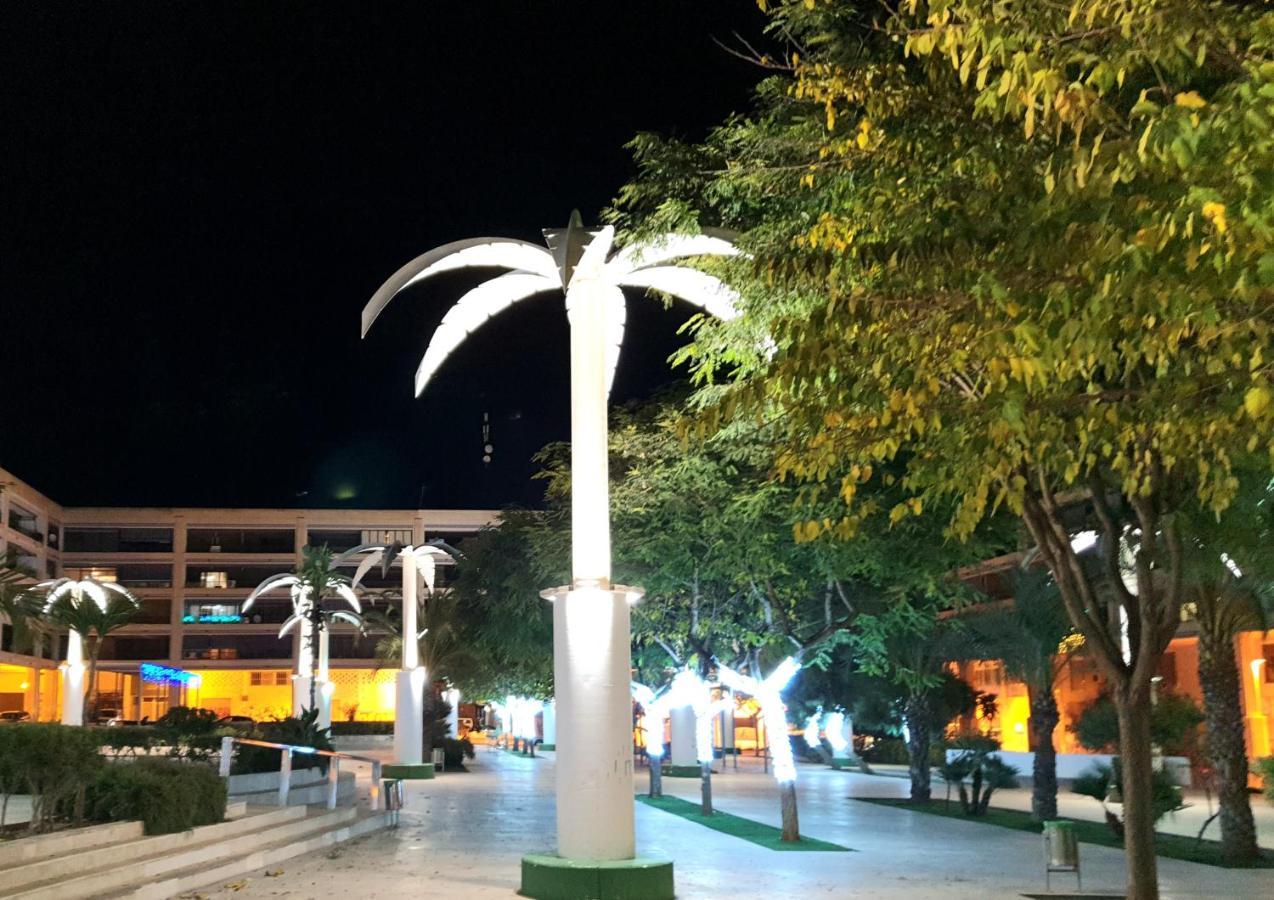 Porticada Guardamar del Segura